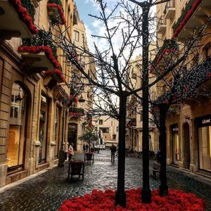 Meet your Posher, Lena